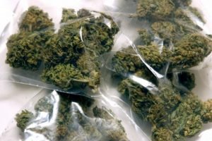 Will NY Legalize Recreational Pot in 2017?