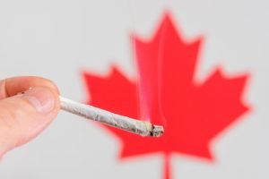 Create Medication Dull: Legalising Weed the Canada Way