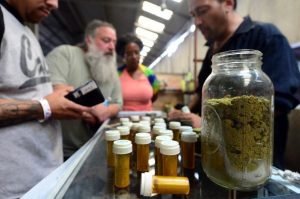 Is Marijuana Good for Health? How Drug laws Restrict Research of Cannabis Treatments