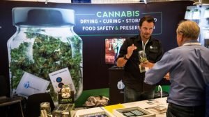Pot in Casinos? Nevada game playing policy committee to examine position
