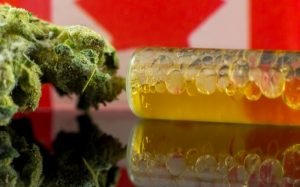 The Canada Healthcare Association wants to discarded Canada's medicinal marijuana program