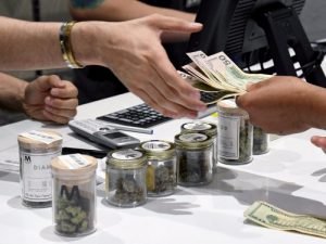 Florida Destroys a Weed Banking Plan