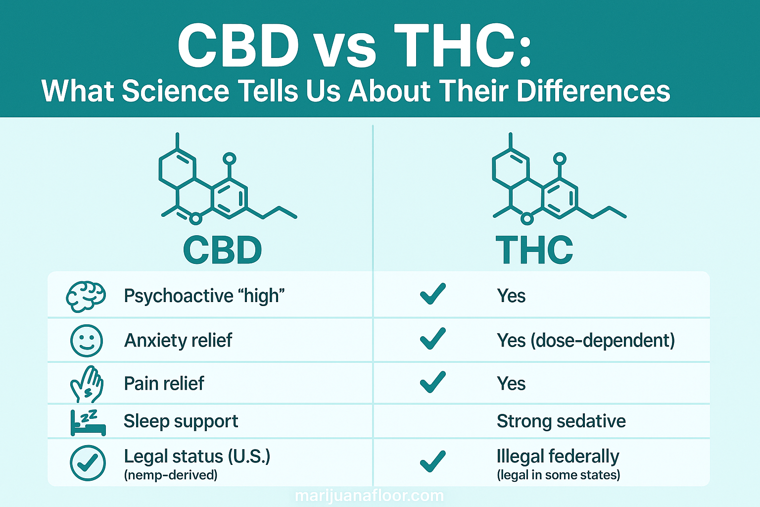 CBD vs THC benefits, difference between CBD and THC, CBD vs THC effects